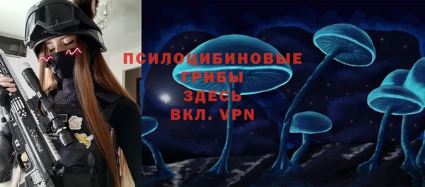 стафф Богородск