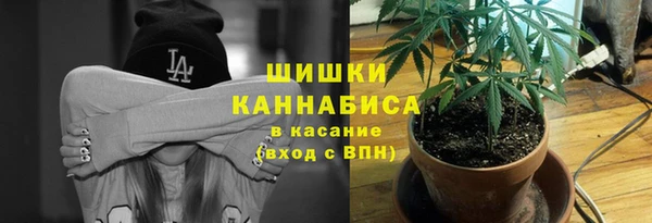 амф Бородино
