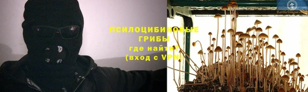альфа пвп Богородицк