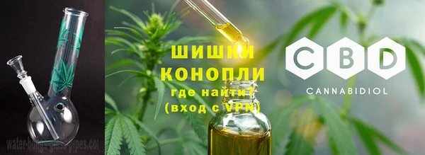 стафф Богородск