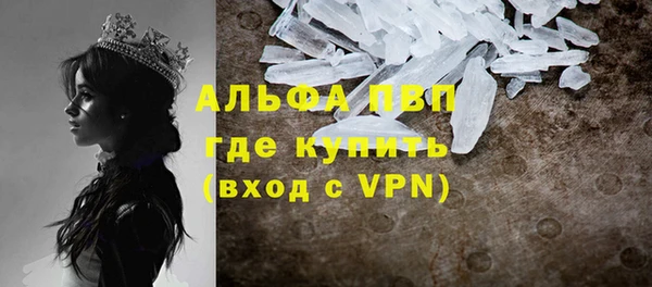 шишки Верея